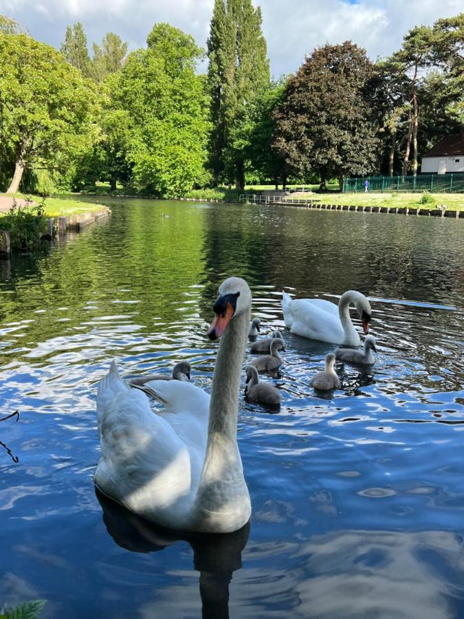 Beddington Park Lodge East ウォリントン エクステリア 写真
