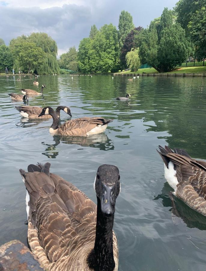 Beddington Park Lodge East ウォリントン エクステリア 写真