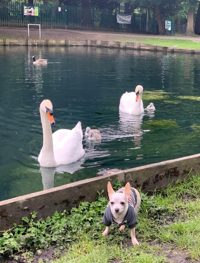 Beddington Park Lodge East ウォリントン エクステリア 写真