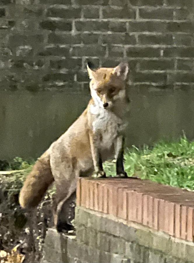 Beddington Park Lodge East ウォリントン エクステリア 写真